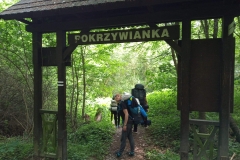 received_773617843032292