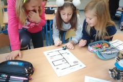 121355550_1068023036987199_5786513329314028027_n