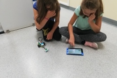 70839467_2643795532347766_7427972408868339712_n